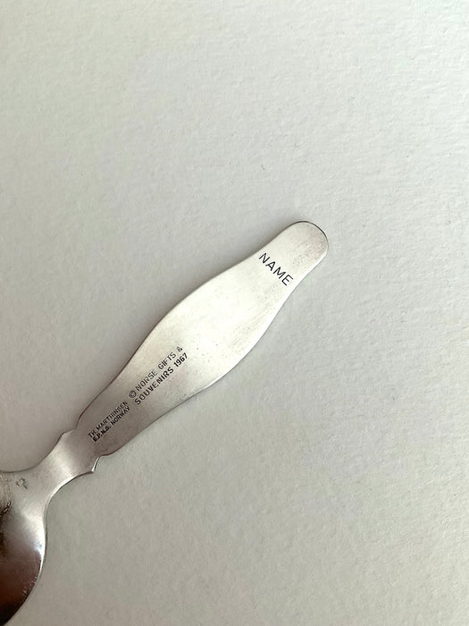 Spoon Stork Birth Record