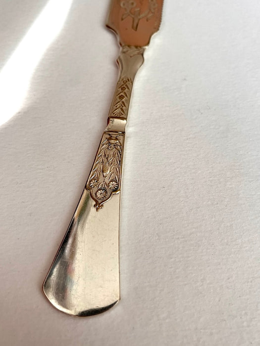 Cake/wedding knife
