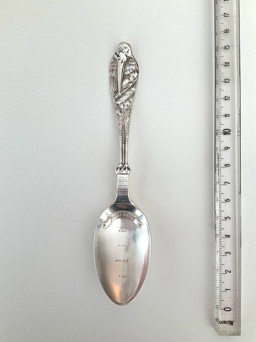 Spoon Stork birth record