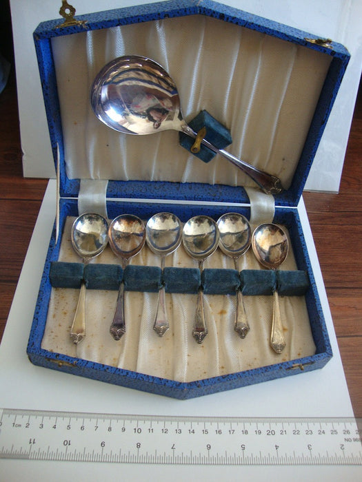 Ice cream serving set: one large serving spoon and 6 spoons  in original box